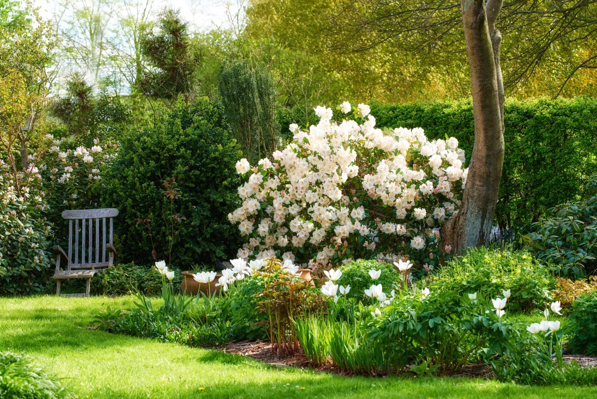 Ruhe im eigenen Garten — Der perfekte Rückzugsort in Heidenh