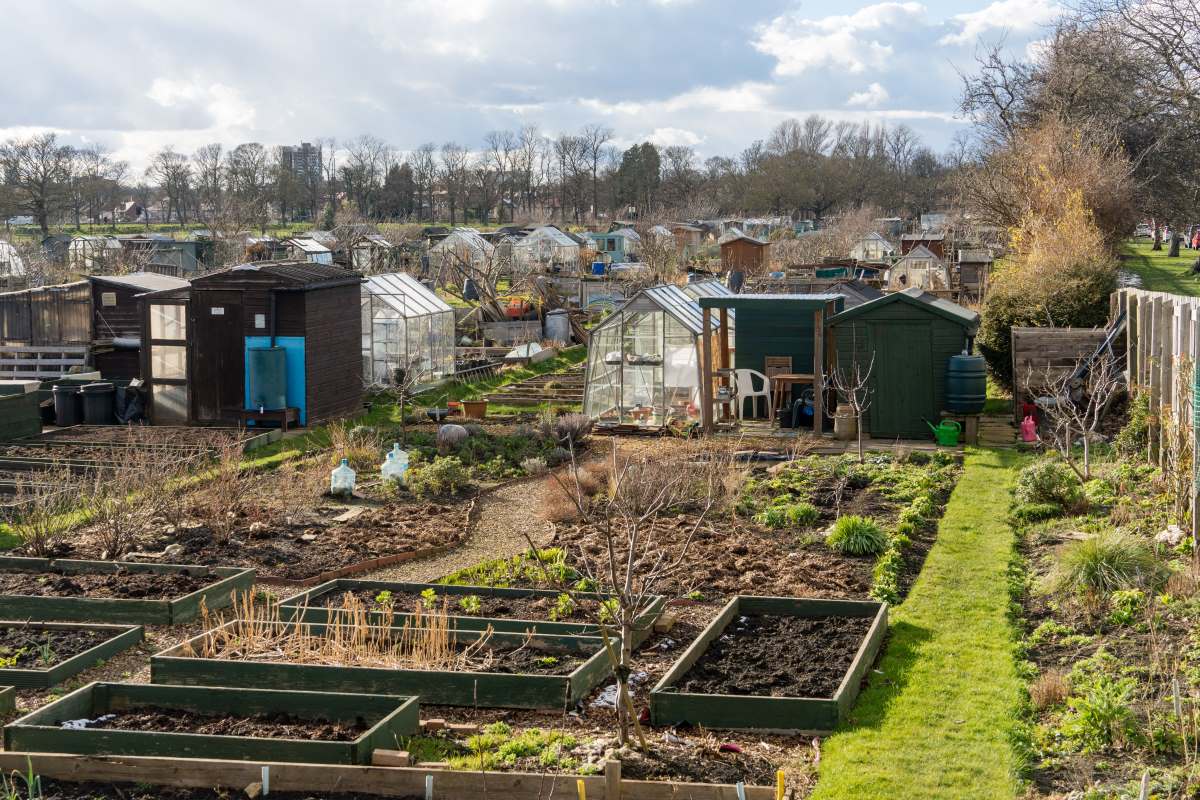 Schrebergarten in Heidenheim: Pacht, Regeln und praktische T